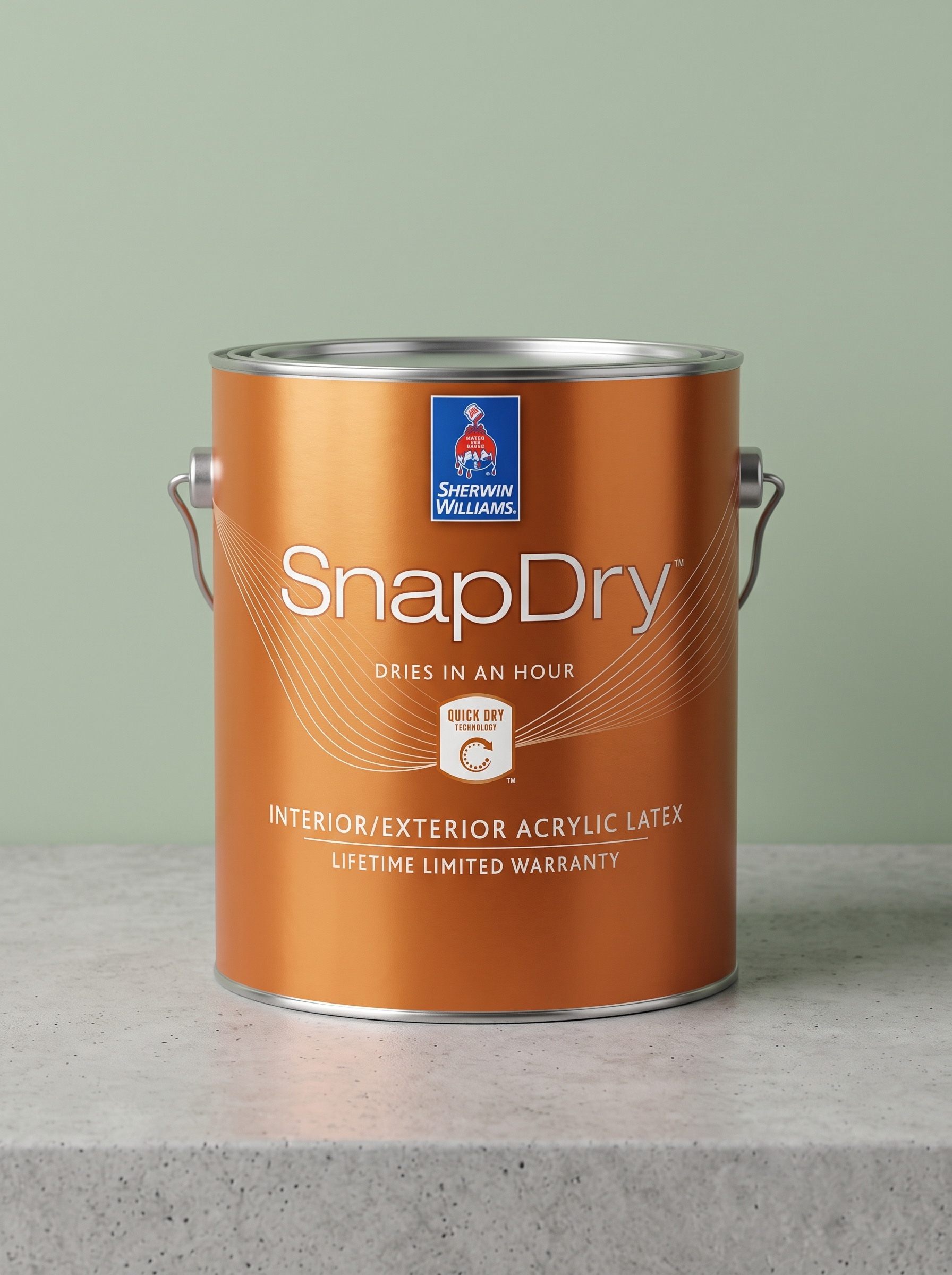 SnapDry Door & Trim Paint